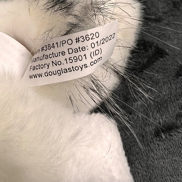 Douglas Wizard Snowy Owl Plush Stuffed Animal 2022 Realistic 8 inch White - Picture 8 of 8